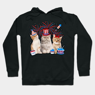 Happy 4th Of July Three Cat US Flag Patriotic Cats Lover Hoodie